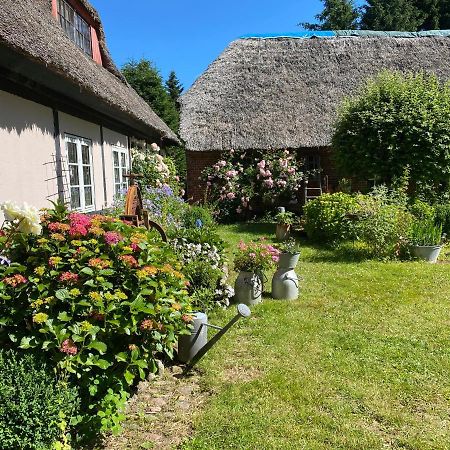 Bed and Breakfast Heddahgaarden Bredal Zewnętrze zdjęcie