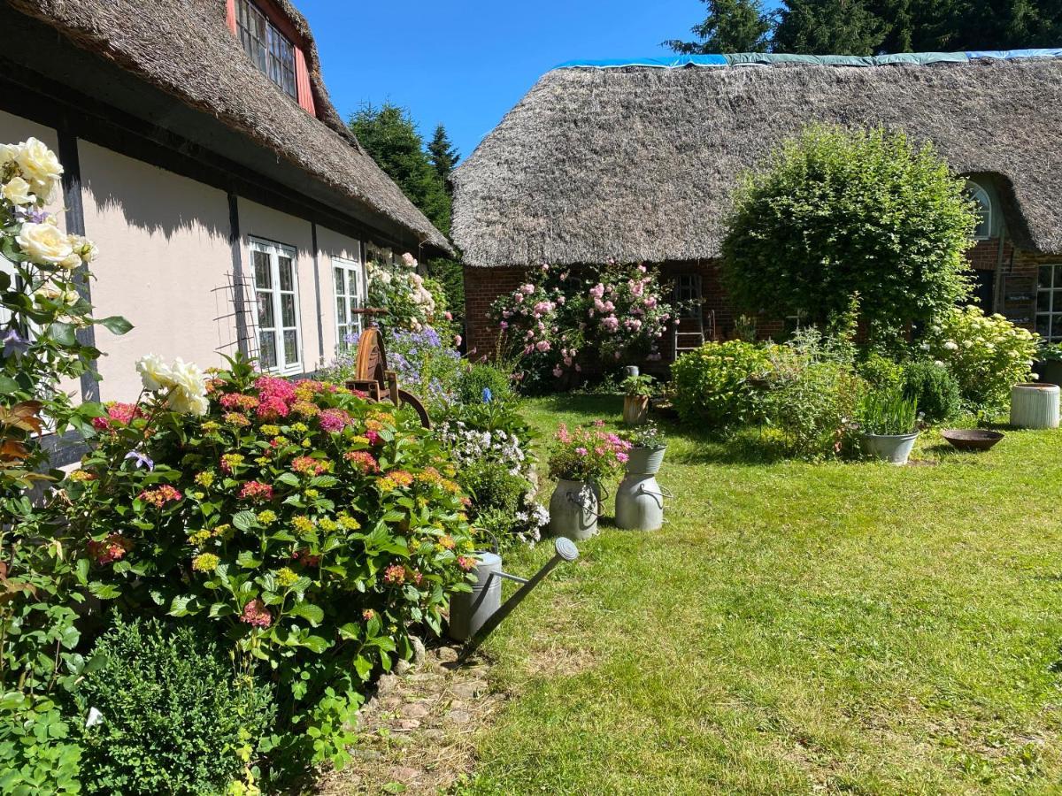 Bed and Breakfast Heddahgaarden Bredal Zewnętrze zdjęcie