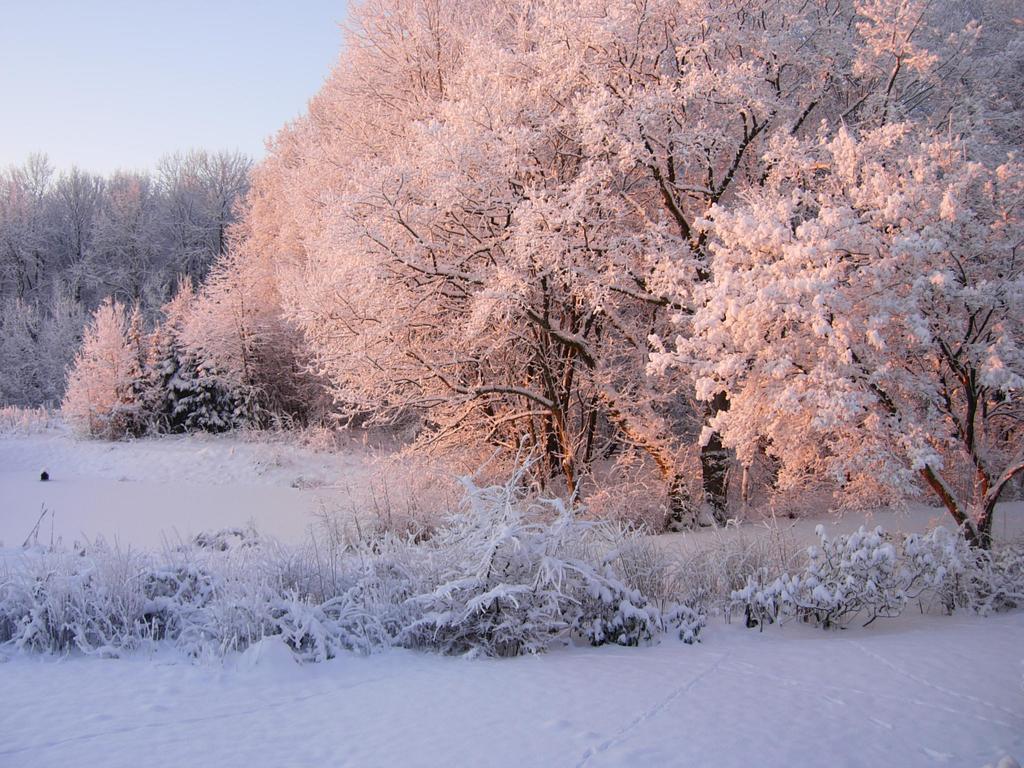Bed and Breakfast Heddahgaarden Bredal Zewnętrze zdjęcie